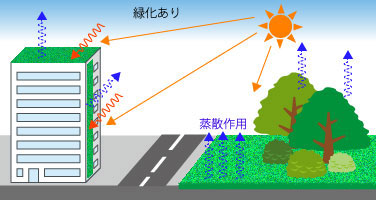 環境緑化の種類と効果 日本自然環境専門学校