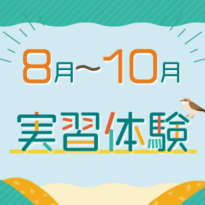 実習体験
