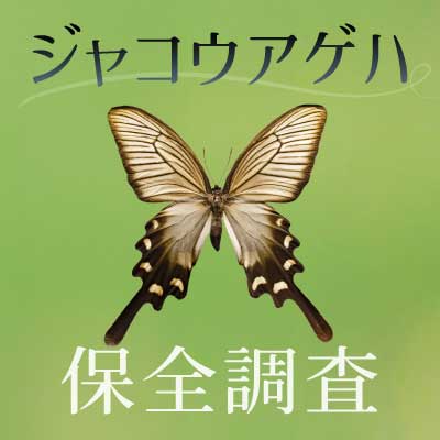 新潟