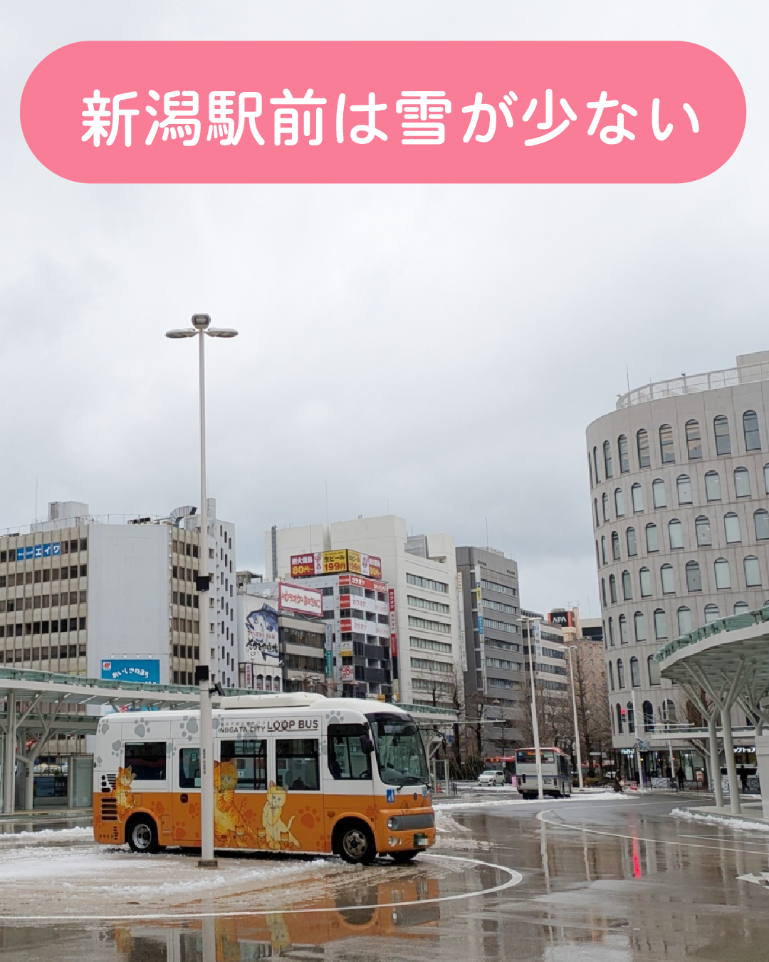 新潟の気候
