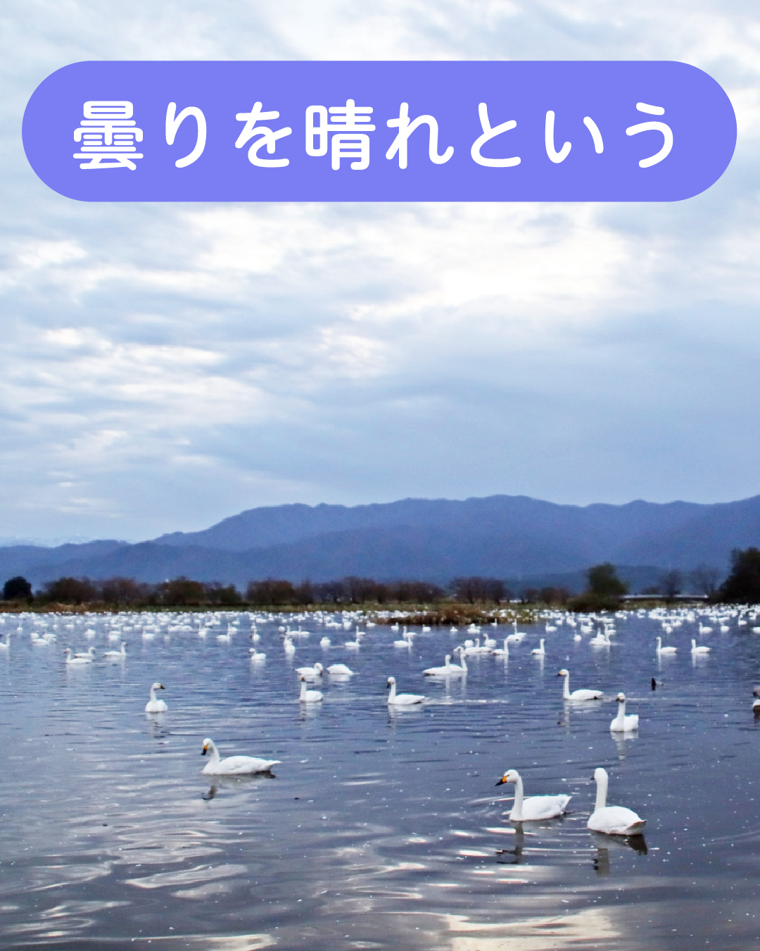 新潟の気候