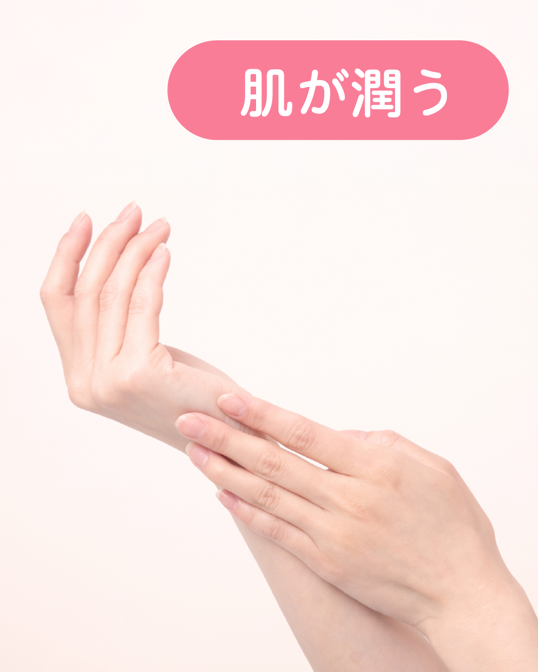 新潟の気候